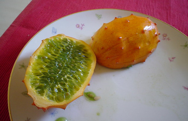Horned Melon 